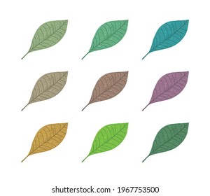 Various of leaves icons. Colorful Leaves on white background. Ecology. Vector illustration.