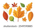 Various leaves set isolated flat vector illustration on white background.