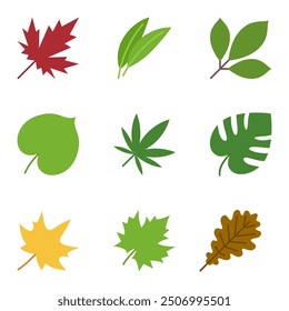 various leaves set isolated, flat vector illustration with leaves of maple, bamboo, hemp, oak, ash and monstera