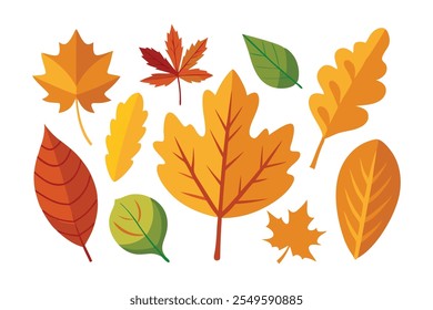 Various leaves set isolated flat vector illustration on white background.