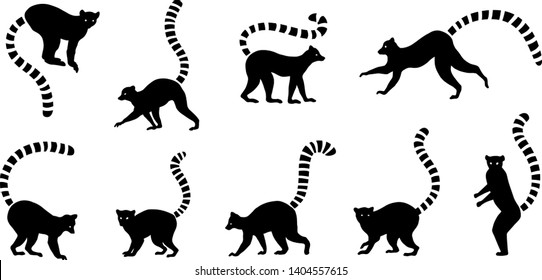 various lemur silhouette on the white background