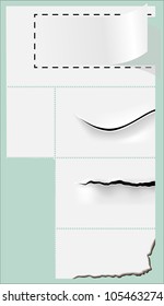 various lesions of the paper