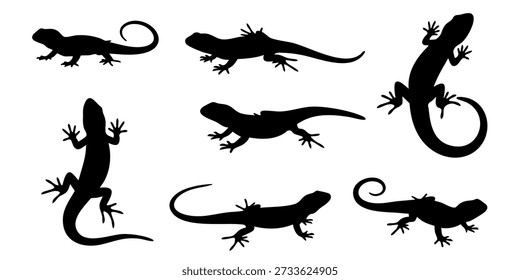 Varios lagartos en diferentes poses ilustradas en siluetas negras sobre un fondo limpio desde múltiples puntos de vista