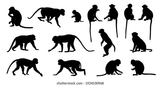 various macaque silhouettes on the white background