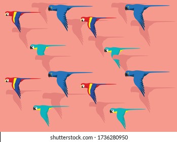 Various Macaw Color Flying Cartoon Character Vector Background Wallpaper