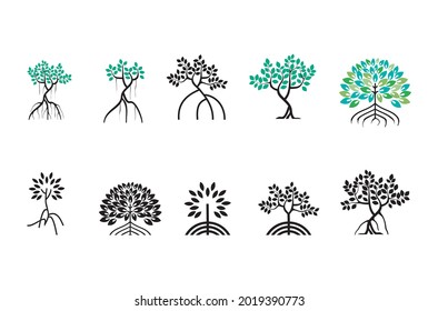 Various of mangroves tree, mangrove icon vector collections