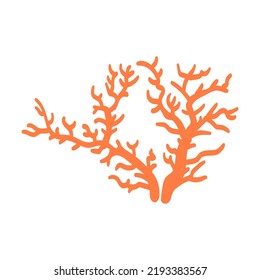 Various marine animals flat icon. Cartoon cute coral isolated vector illustration. Sea or ocean underwater life