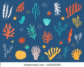 Various marine plants. Collection of underwater plants in a simple cartoon style. Vector illustration of icons of aquarium algae.