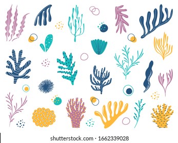 Various marine plants. Collection of underwater plants in a simple cartoon style. Vector illustration of icons of aquarium algae.