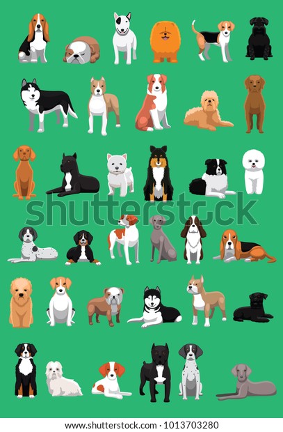 medium dog size breeds
