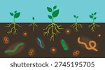 Various microorganisms in garden soil. Ground cutaway with bacteria and the root system of plants. Important microbes living in soil. Organic vegetable concept.