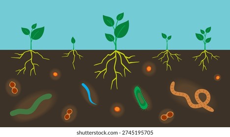 Various microorganisms in garden soil. Ground cutaway with bacteria and the root system of plants. Important microbes living in soil. Organic vegetable concept.