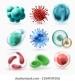 Various microscopic 3d bacteria and viruses. Microbiology vector bacterium cells isolated. Virus and bacterium, microbe cell illustration