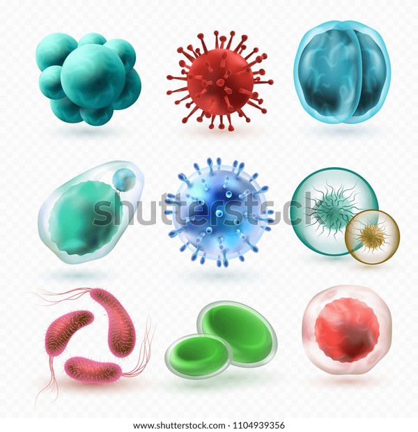 Various Microscopic 3d Bacteria Viruses Microbiology Stock Vector