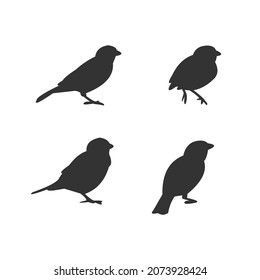 various models of bird simple silhouette vector design