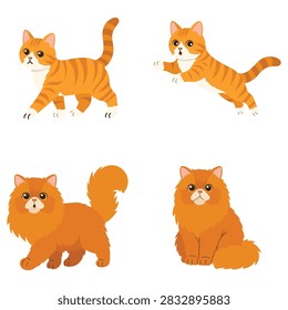 Various movements of cat: walking, jumping, and running
