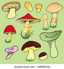 Various mushroom collection 02 - vector illustration.