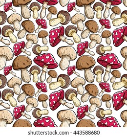 Various of mushroom with color in seamless pattern
