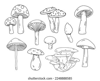 Various mushroom doodle set. Mushroom isolated line art for print, poster, banner, greeting card, design element. Mushrooms outline vector and illustration icons.