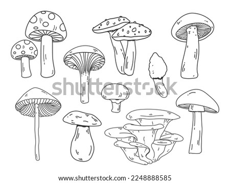 Various mushroom doodle set. Mushroom isolated line art for print, poster, banner, greeting card, design element. Mushrooms outline vector and illustration icons.