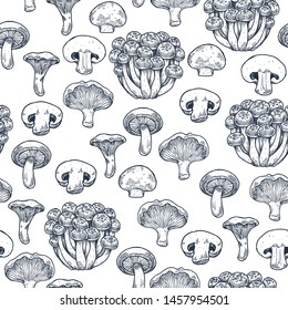 Various mushroom seamless pattern. Engraved style. Vector illustration