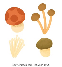 Verschiedene Pilzgruppen von Enoki , Shiitake, Crimini, Shimeji einzeln auf weißem Hintergrund.
