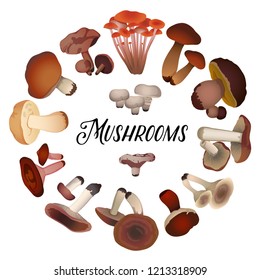 various mushrooms laid out in a circle on a white background