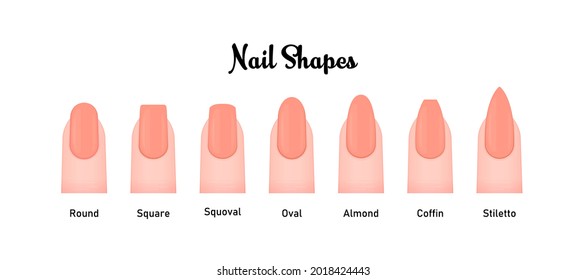 Various nail shapes vector illustration set