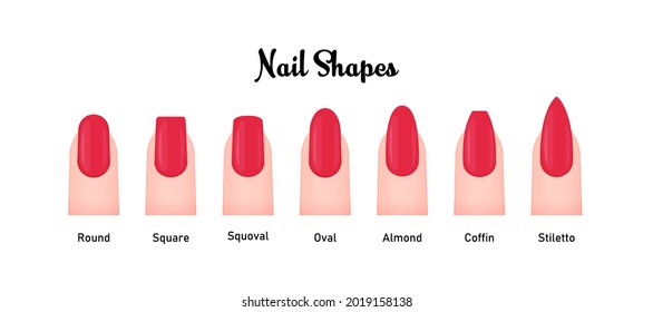 Various nail shapes vector illustration set