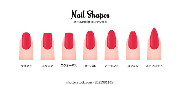 Various nail shapes vector illustration set. Translation: Nail shapes, round, square, squoval, oval, almond, coffin, stiletto