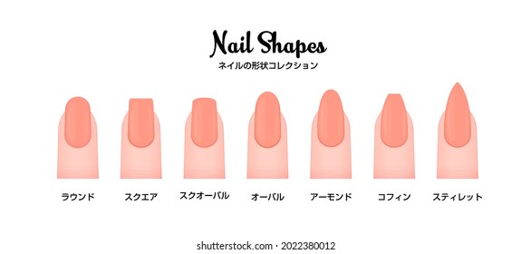 Various nail shapes vector illustration set.  Translation: Nail shapes, round, square, squoval, oval, almond, coffin, stiletto