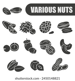 Various nuts. A collection of different dark nuts. Concept of healthy eating. EPS 10.