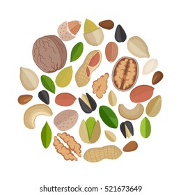 Various nuts composed in circle shape. Nuts collection. Mixed nuts and seeds. Pumkin seeds, almond, walnut, sunflower seed, flax seed, peanut, cashew. Isolated vector illustration on white background.