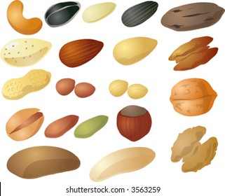 Various nuts and seeds, isometric 3d illustration: cashew, peanut, pecan, sunflower seed, hazelnut, walnut, pistachio, brazil nut