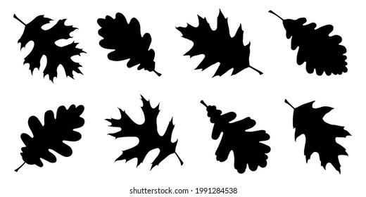 various oak leaf silhouettes on the white background