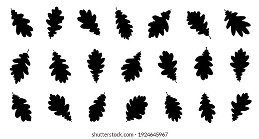 various oak white leaf silhouettes on the white background
