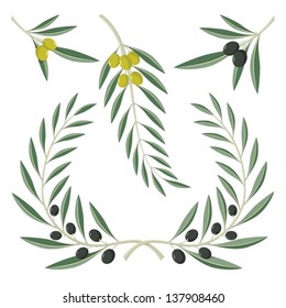 Various olive branches and wreath isolated on white background.