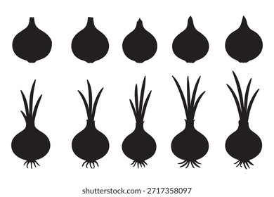 Various onion silhouettes showcasing different forms with and without green shoots and roots