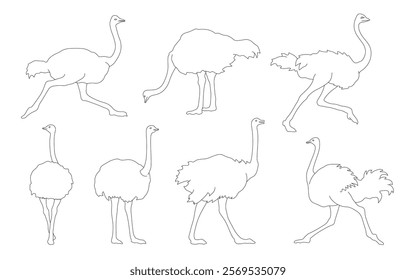 various ostrich line on the white background