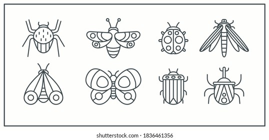 Various Outline Bugs, Butterfly, Moth. Different insects. Minimalistic Icons. Simple geometric design. Trendy Vector illustrations. Every icon is isolated