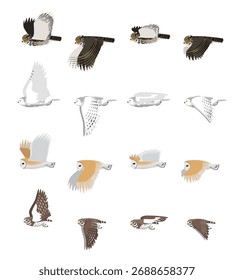 Diverso Vector de dibujos animados de juego de vuelo de búho
