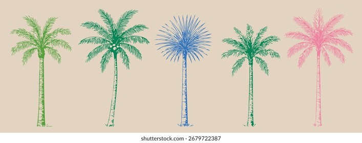 Various Palm tree set. Colorful tropical plants. Coconut, beach palms. Abstract bright silhouettes. Hand drawn modern Vector illustration. Isolated design elements. Print, sticker templates