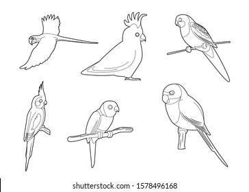 Various Parrots Cartoon Vector Coloring Book