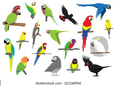 Various Parrots Cartoon Vector Illustration