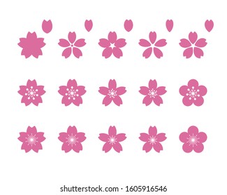 Various patterns of cherry blossoms and petals