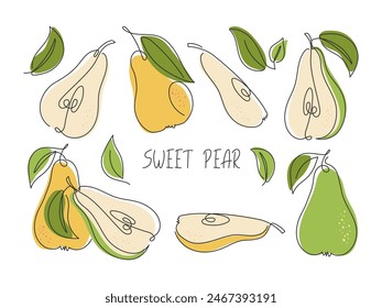 Various pear slices isolated on white. Continuous line modern simple illustration. Fresh healthy garden fruit doodle drawing. Healthy natural organic food. Ingredient for juice, smoothie, dessert