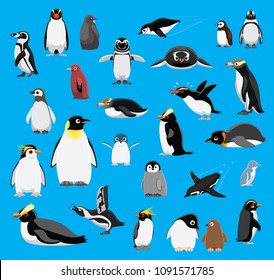 Various Penguin Cartoon Blue Background Vector Illustration