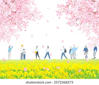 Various people walking along a bank of cherry blossom trees and rape blossoms - full body - spring - people vector illustration white background