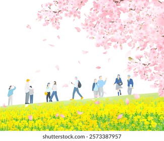 Various people walking along a bank of cherry blossom trees and rape blossoms - full body - spring - people vector illustration white background