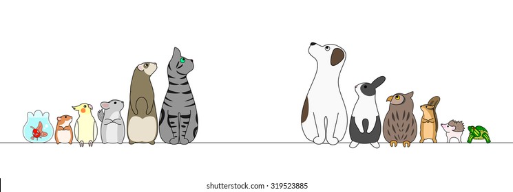 various pets in a row,looking away